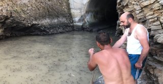 Baraj Önünde Sıkışan Balıklar Havasızlıktan Telef Oluyor