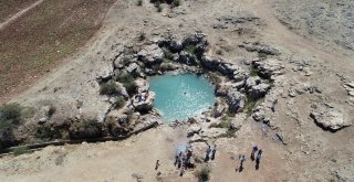 Uyuz Olan Bu Göle Koşuyor