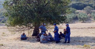 Aydındaki Trafik Kazasında 2 Kişi Hayatını Kaybetti