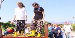 Bucada Renkli Bağ Bozumu Şenliği