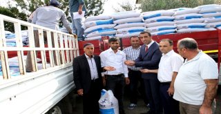 Çiftçilere 134 Ton Buğday Dağıtıldı