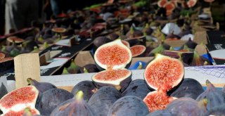 Osmangazide Siyah İncirler Yarışacak