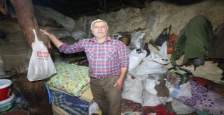Çöp Evde Yaşayan Yaşı Adam Yardım Bekliyor