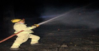 Havai Fişek Ormanı Yaktı