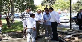 Başkan Çelik Asri Mezarlıkta İncelemelerde Bulundu