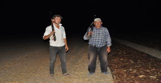 Çiftçinin Tüfekli Üzüm Nöbeti