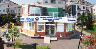 Avcılarda Bağımlılığa Karşı Mücadelede Güç Birliği