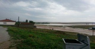 Selin Zararı Gün Ağarınca Ortaya Çıktı