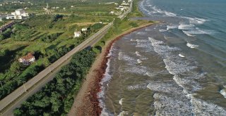 Ordu Sahili Kızıla Büründü