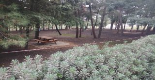 Bakan Kurum Esenlerde Açılacak Olan Millet Bahçesini İnceledi