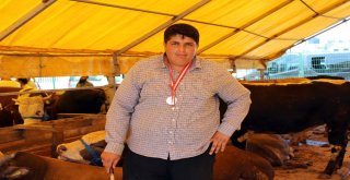 Beylikdüzünde En Temiz Kurbanlık Çadırı Ödüllendirildi