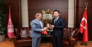 Çin İle Türkiye Arasındaki İlişkilere Yerel Katkı