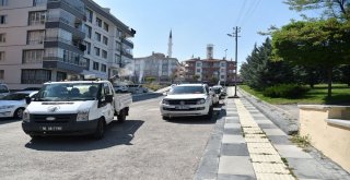 Altındağda İlaçlama Çalışmaları