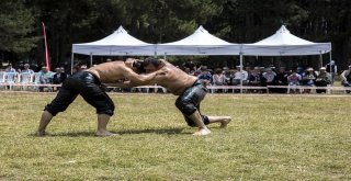 Ata Sporları Rekor Kırdı