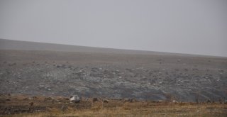 (Özel) Karsta Kar Ve Tipiye Yakalanan Çobanlar Zor Anlar Yaşadı