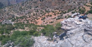 Karamanda Yaban Domuzu Sürek Avı Düzenlendi