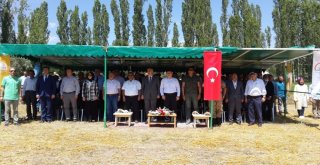 Arı Otu Ve Süt Otu Tarla Günü Düzenlendi