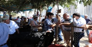 Arefe Günü Pazarlıklar Sıkılaştı