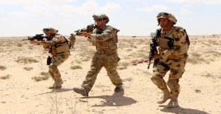 Mısır Ve Abdden Ortak Terörle Mücadele Tatbikatı