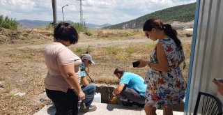 Akhisar Ve Salihli Aatye Yerinde İnceleme