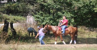 Tatilciler, Abant Tabiat Parkında 5 Kilometrelik Araç Kuyruğu Oluşturdu
