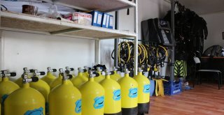 Akın Akın Çiftelere Gidiyorlar