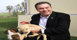 Buca Belediyesinden Şiddete Karşı Örnek Hassasiyet