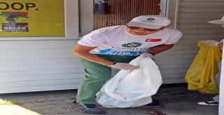 Otel Çalışanları, Yerli Ve Yabancı Tatilcilerle Çöp Topladı