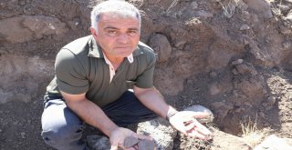 Define Ararken Mezarlıkları Tahrip Ettiler