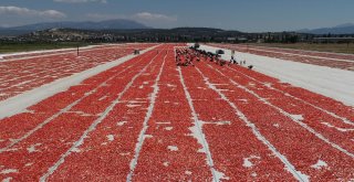 İzmir Ovaları Kırmızıya Büründü