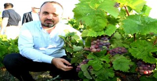 Turandan, Bozcaadaya Ziyaret