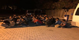 Vanda 52 Kaçak Göçmen Yakalandı