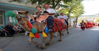 Ormana Üzüm Festivalinde Renkli Görüntüler