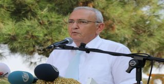 Yerli Ve Milli Çeltik Tohumları Görücüye Çıktı