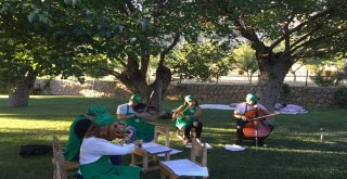 Dut Bahçesinde Mini Konser