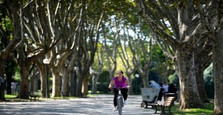Kurban Bayramında Hayvanat Bahçesine Yoğun İlgi