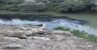 Osbnin Atık Suları Sakarya Nehrini Kirletmeye Devam Ediyor