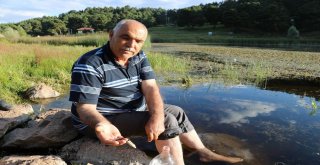 Hastalığına Çare Arayan Bu Göle Gidiyor