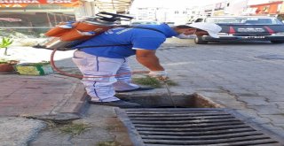 Büyükşehir Kurban Bayramı Öncesi İlaçlamaya Hız Verdi