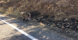 Beytüşşebapta Orman Yangını