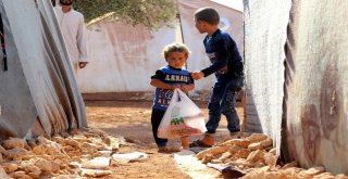 Suriyede Kesilen 5 Bin 357 Hisse Kurban İhtiyaç Sahiplerine Dağıtılıyor