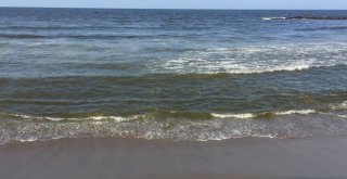 Karasuda Denize Girmek Yasaklandı