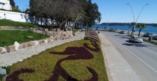 Adana Trafiğine Başkan Sözlü Neşteri