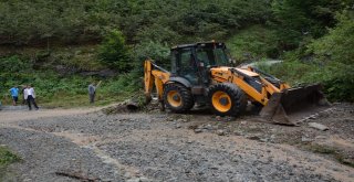 Orduda Sağanak Zarara Yol Açtı