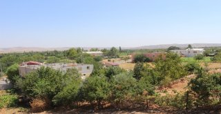 Adıyamanda İlk Kez Bir Belediyeye Kayyum Atandı