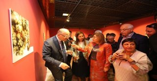 Gastroantep Festivalinde Tohum Sergisi Açıldı