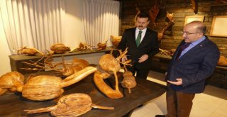 İşadamı Sözenin 20 Yıldır Topladığı  Ağaç Kökleri Trabzonda Müze Oldu
