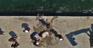 Sariyerde Denize Düşen Atın Kurtarılma Anı Havadan Görüntülendi