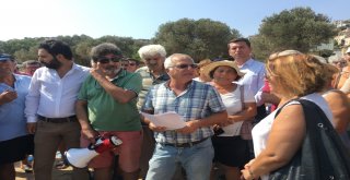 Çevrecilerden Foçadaki Petrol Kirliliğine İlişkin Açıklama