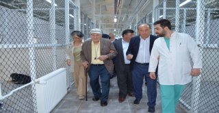 Hayvan Bakımevi Ve Rehabilitasyon Merkezi Açıldı
